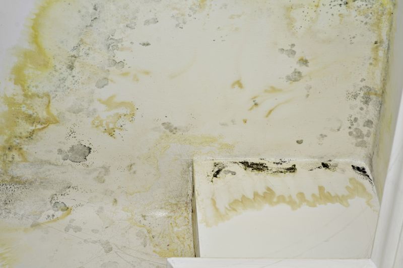 Cost of Concrete Staining — Cost of Concrete Staining