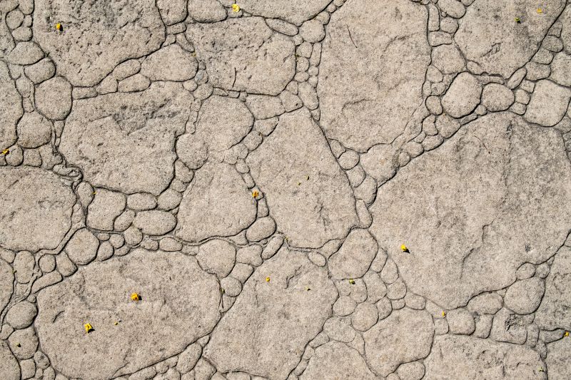 Decorative Concrete Repair in Napa, CA