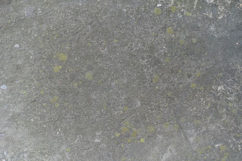 Stamped Concrete Staining in Corpus Christi, TX
